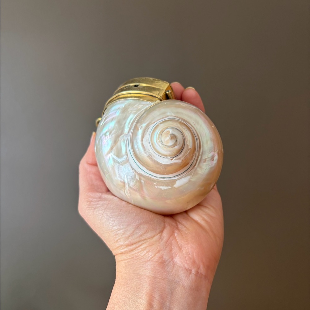 Gold and Cream Shell Clutch - Picture 6 of 16
